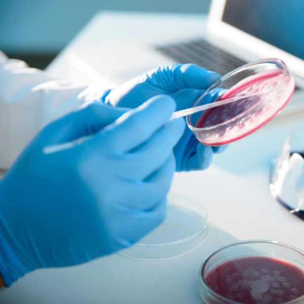 Profesor de microbiologia