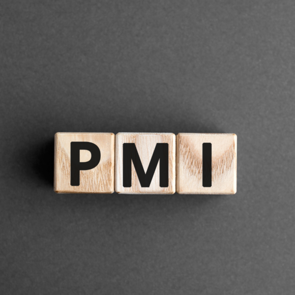 Asistente de Gestión de Proyectos PMI Proactivo